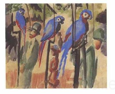 August Macke At the parrot Spain oil painting art